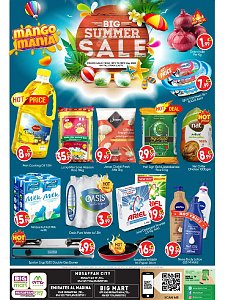 Big mart - Big Summer Sale - Mussafah, Abu Dhabi