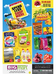Big mart Spend Less & Shop More - Ras Al Khor Industrial Area 3, Dubai